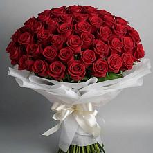 Букет 101 Красная роза Блэк Мэджик #REPLACE_PRED# Урожайном