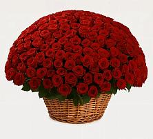 Премиум букет из: Розы в Урожайном